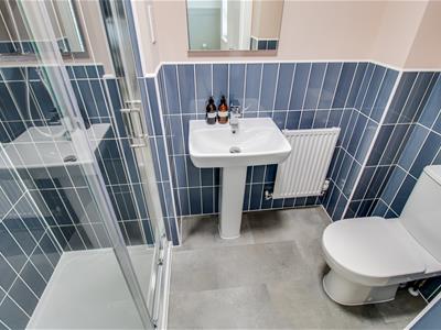 Picture 9